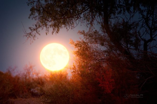 Лунный Восход