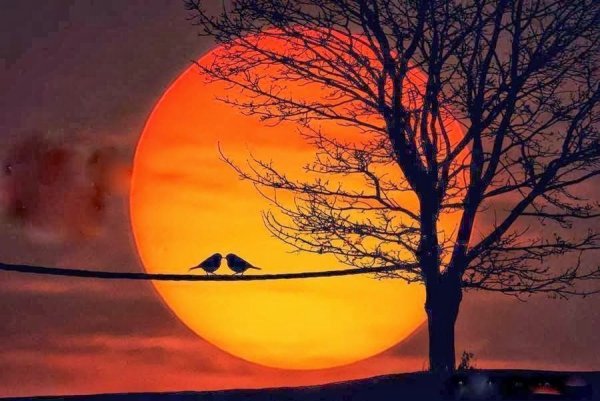 Красивый закат ночью с луной