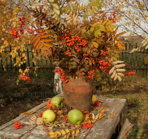 Осенний сад