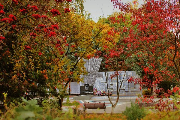 Рябиновая аллея Москва