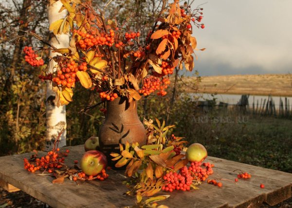 Тематика осень