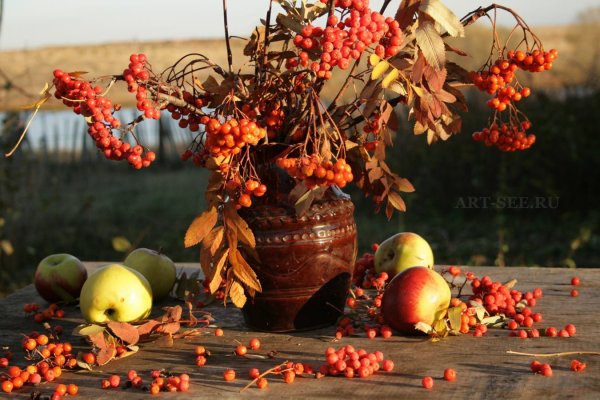Осень рябина