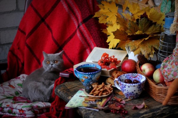 Осенний вечер чаепитие