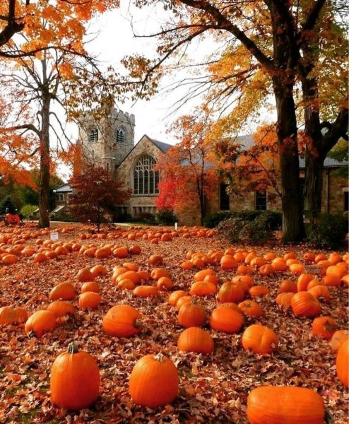 Vermont USA пейзажи тыквы