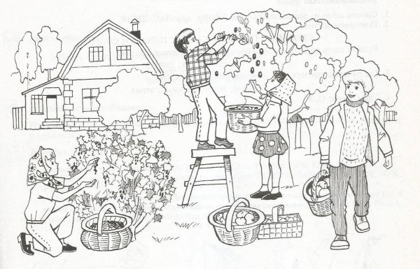 Раскраска. В огороде