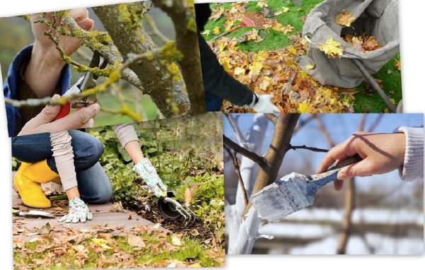 Осенние работы