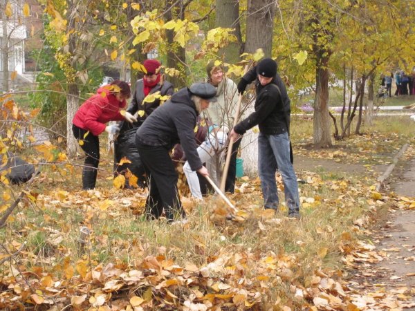Субботник осенью