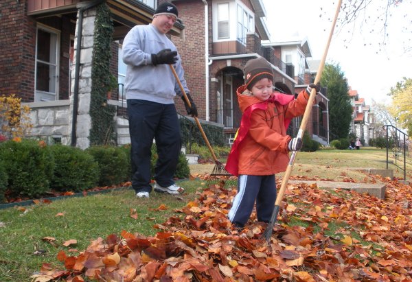 Уборка листьев осенью