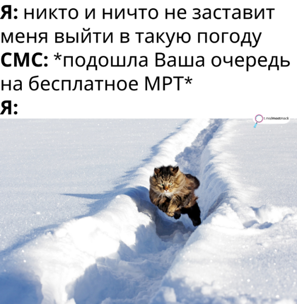 Задолбал снег