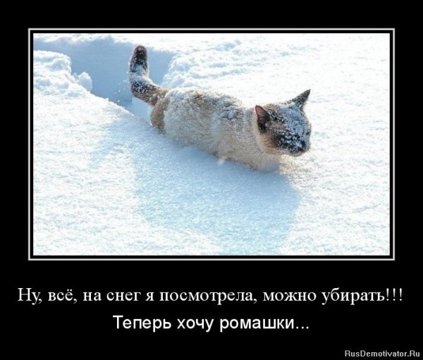 Анекдоты про зиму