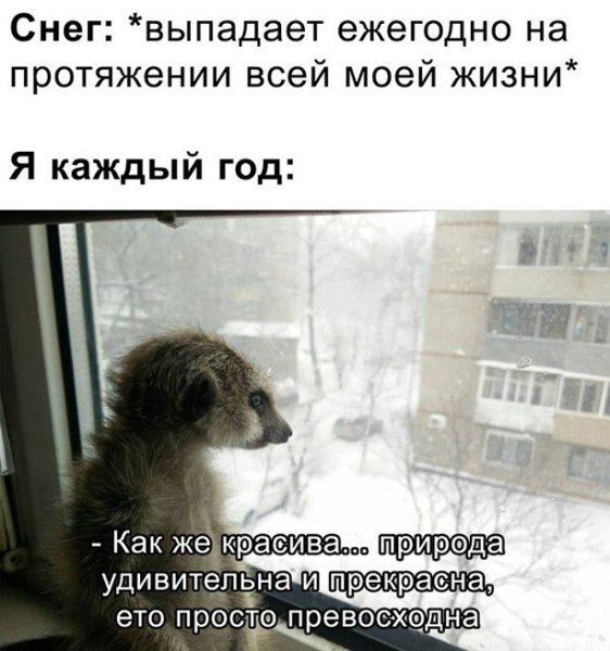 Снег выпадает каждый год, я каждый год Мем
