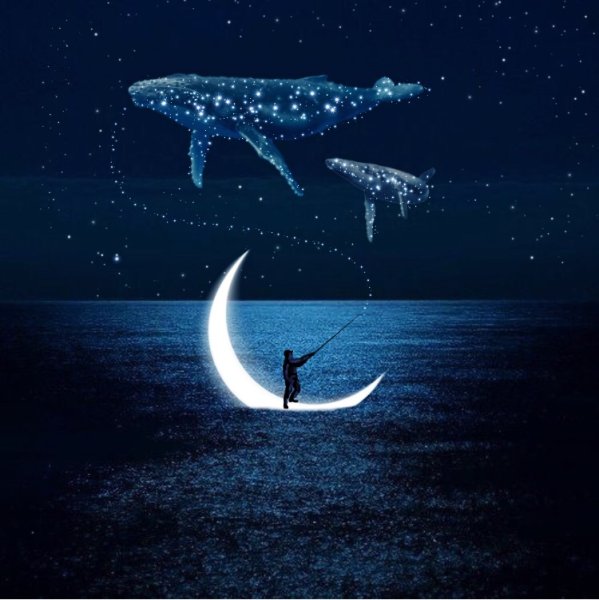 Киты в небе космос