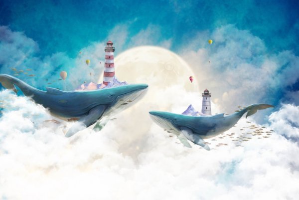 Фреска киты