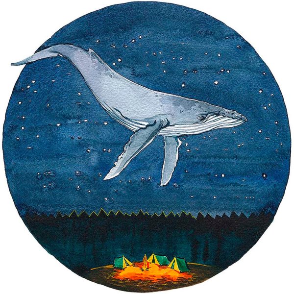 Сохраненки с китами