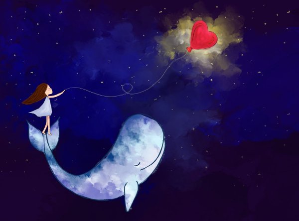 Кит и звезды