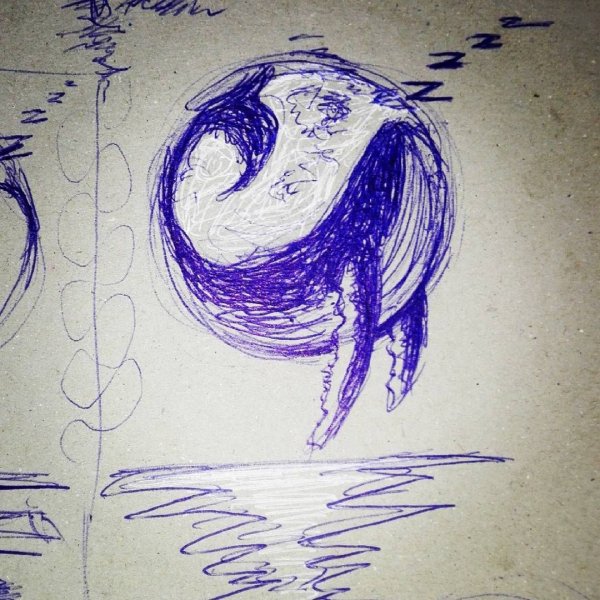 Кит на фоне Луны