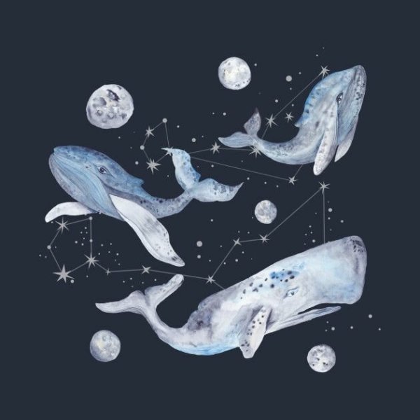Кит в Звездном небе