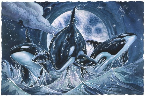 Касатка арт