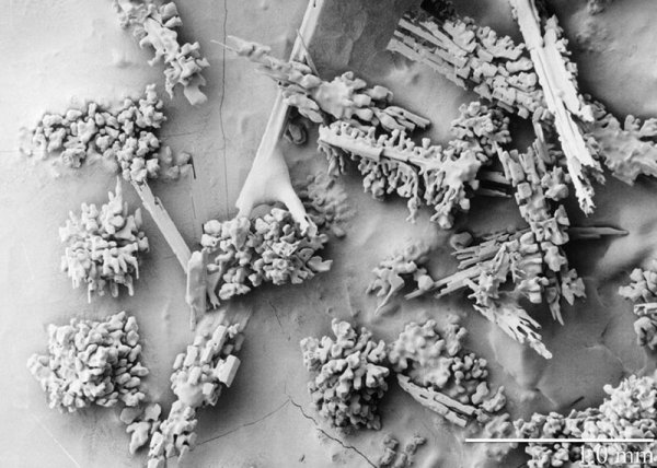 Кристаллы под электронным микроскопом