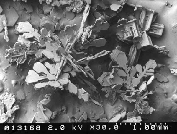 Снег под микроскопом