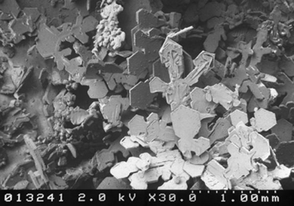 Снег под микроскопом