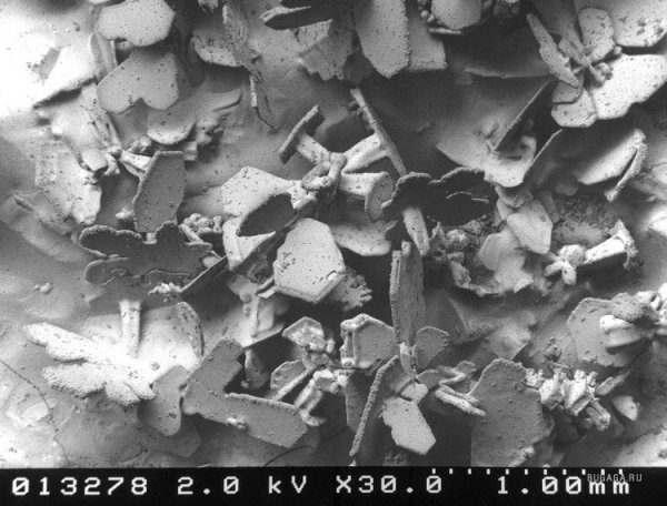 Грязный снег под микроскопом