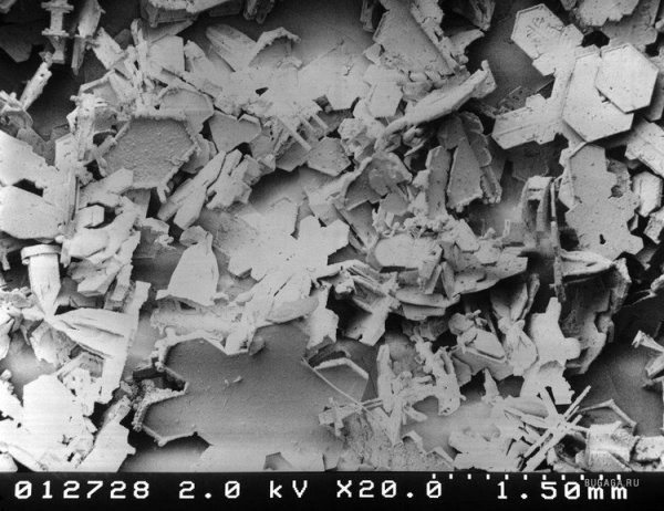 Снег под микроскопом