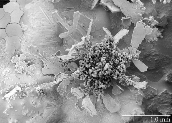 Кристаллики льда под микроскопом
