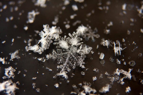 Снег под микроскопом
