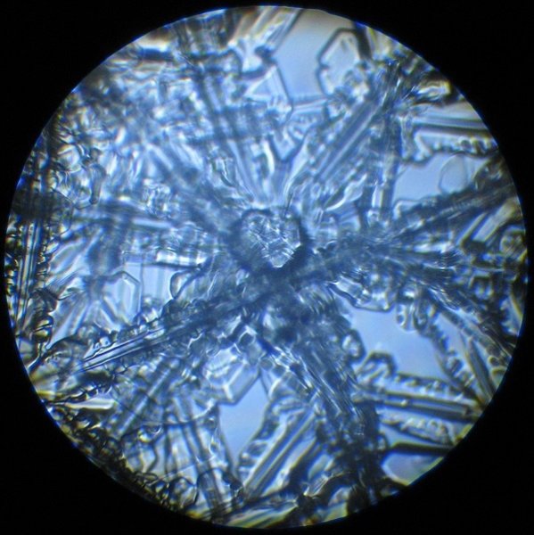 Снег под микроскопом