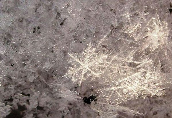 Снежинки через микроскоп