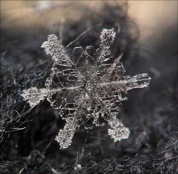 Снежинки фото