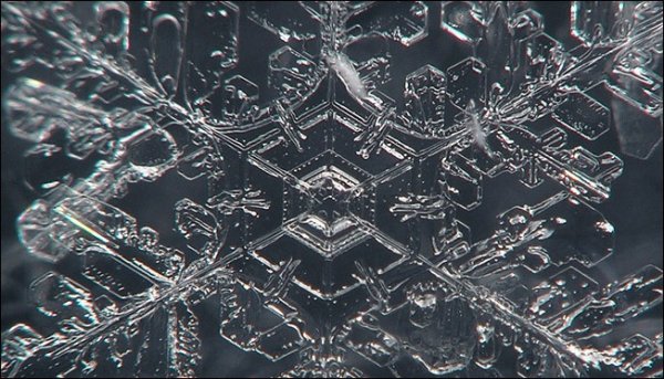 Снежки под микроскопом