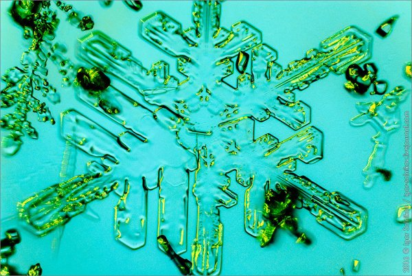 Снежинки через микроскоп