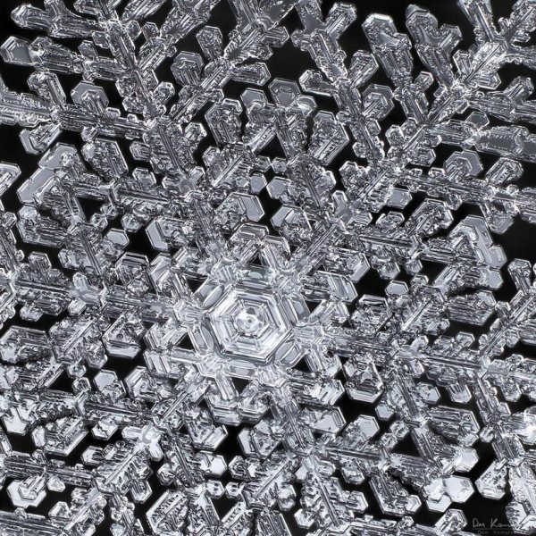 Снежинка под микроскопом