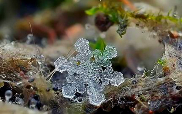 Красивые Кристаллы снега