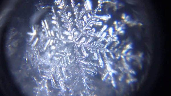 Снежинки через микроскоп