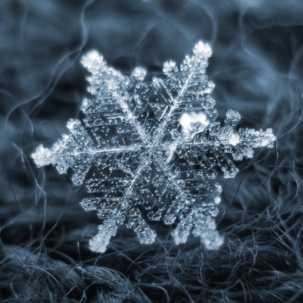 Снежинка под микроскопом