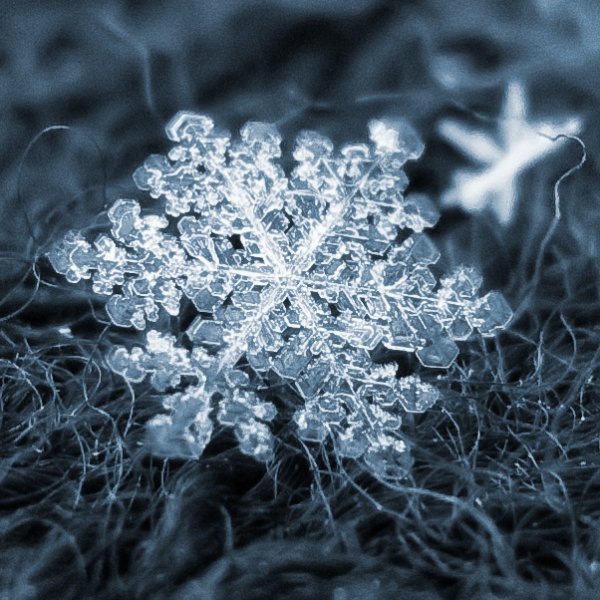 Снежинки под увеличительным стеклом