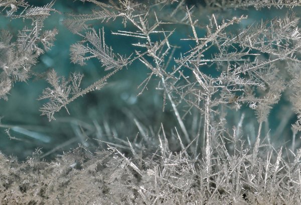 Кристаллы льда под микроскопом