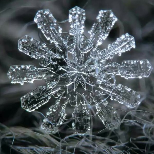 Снежинка макро