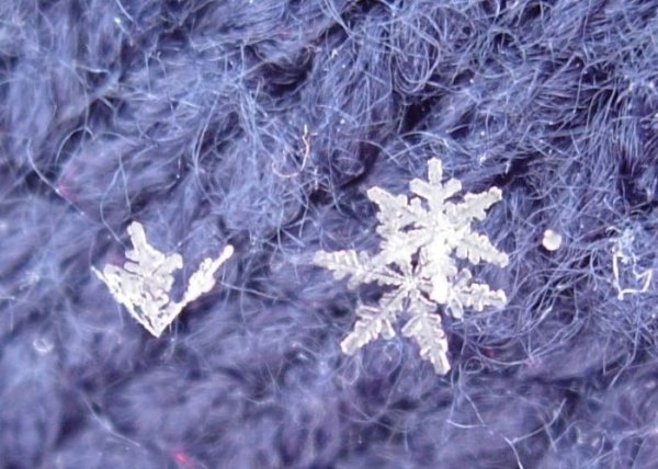 Снежинка под лупой