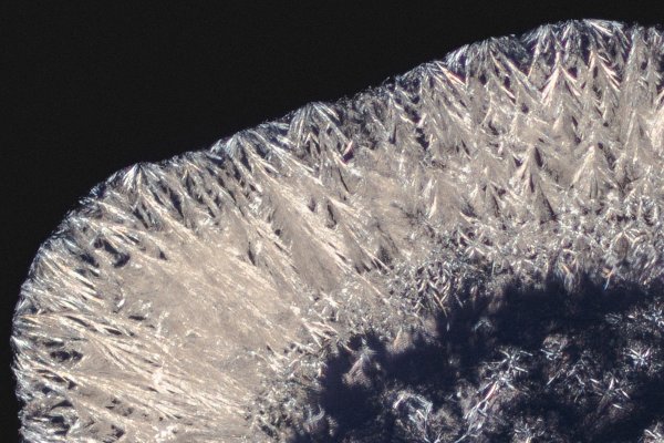 Дмт под микроскопом