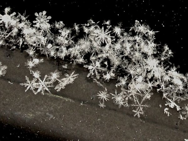 Снежинка реальная