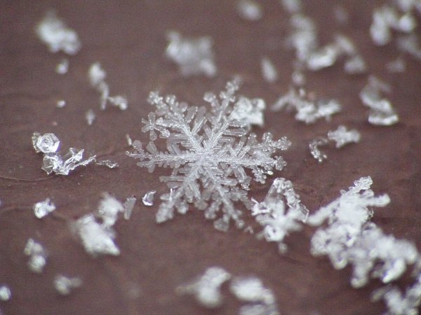 Снежинка вблизи