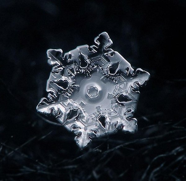 Снежинка под микроскопом