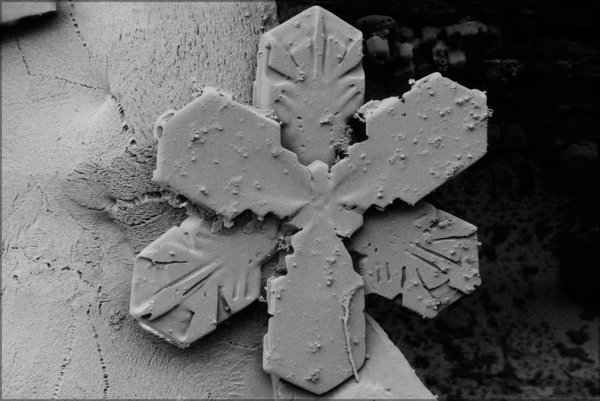 Снежинка под электронным микроскопом