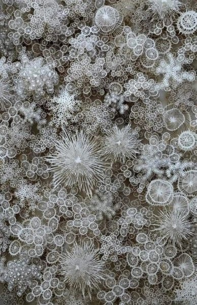 Снег под микроскопом