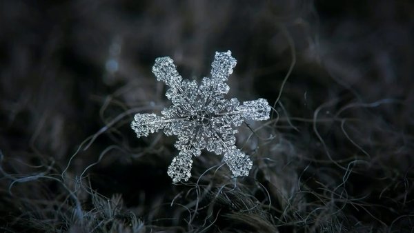 Снежинка Макросъемка