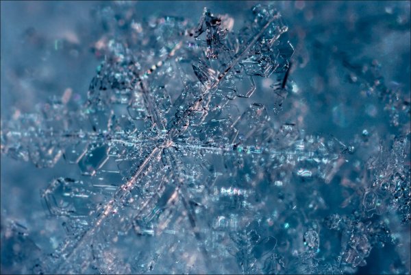 Фотографии снежинок